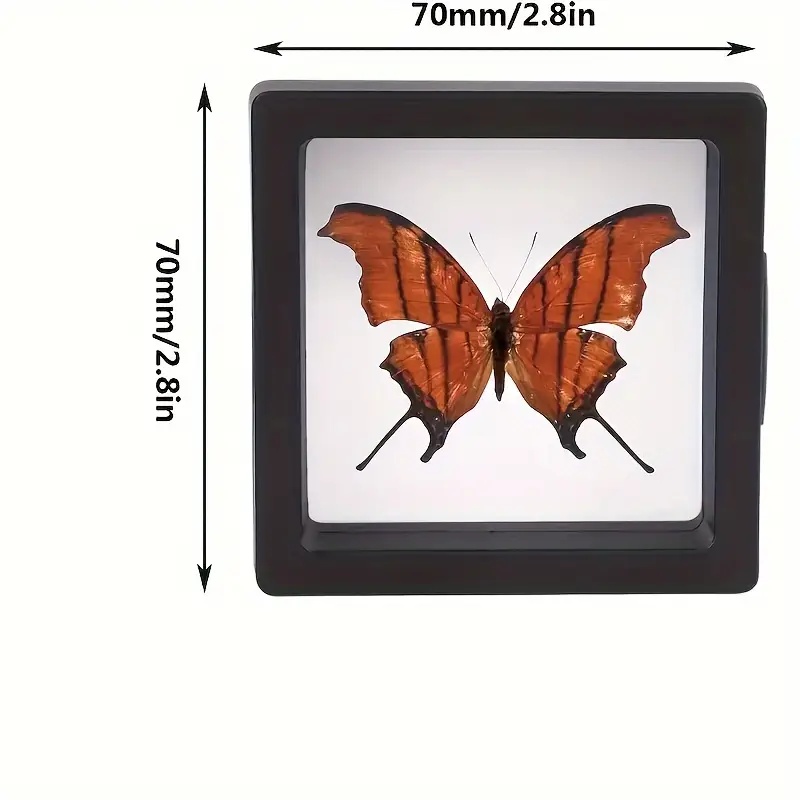 20Pcs Clearview 3D Floating Di - đánh giá và giá Model Kit Display